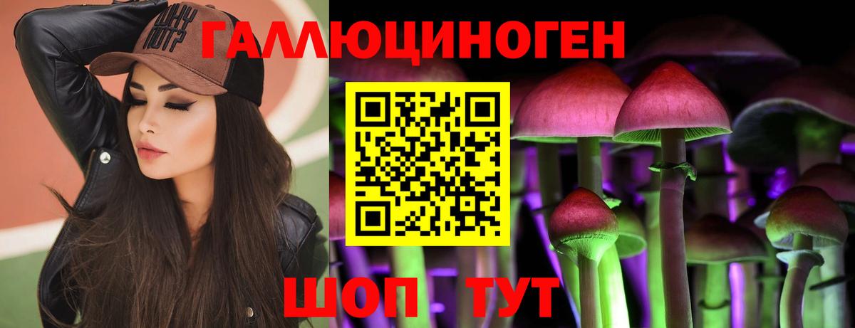 Галлюциногенные грибы Psilocybine cubensis Волгоград